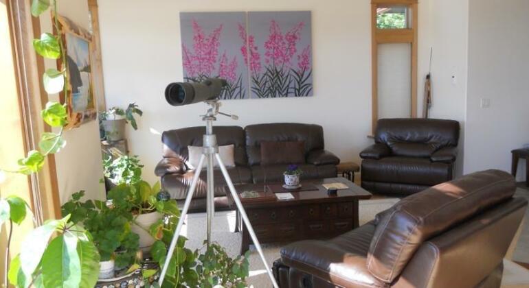 Seward Front Row Bed and Breakfast - Photo4