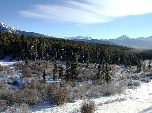 Silverthorne Townhome Nightly Rentals - Photo5