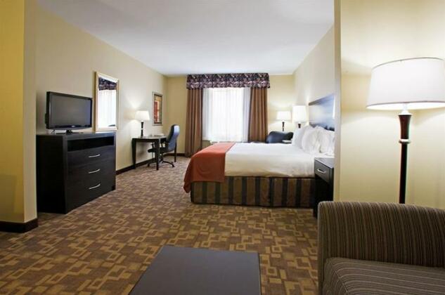 Holiday Inn Express and Suites Snyder - Photo4