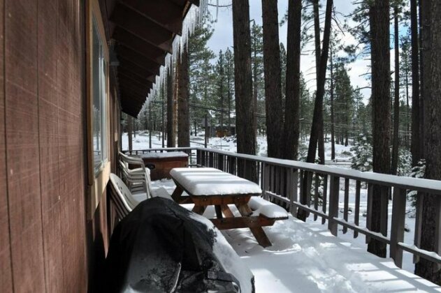 Brown Bear in the Woods of Tahoe Hot Tub Ski House - Photo5