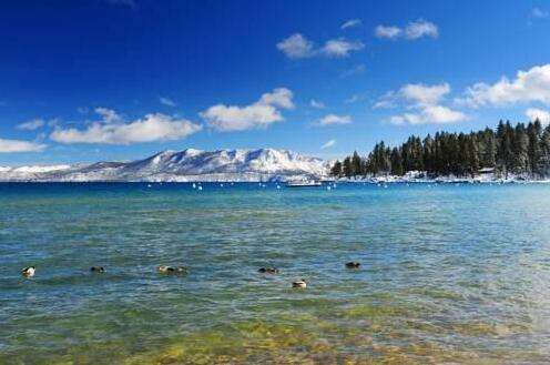 Heavenly Haven In Tahoe South Lake Tahoe