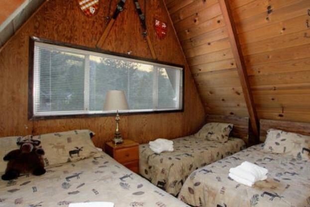 RedAwning Bear Necessities Cabin - Photo4