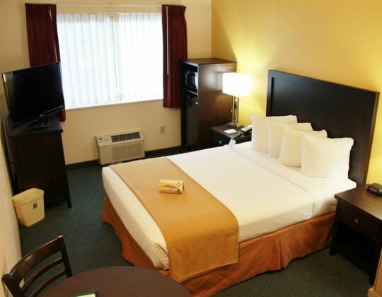 Quality Inn & Suites Springfield - Photo4