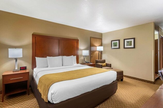 Comfort Inn & Suites Springfield I-44 - Photo2