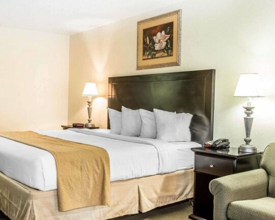 Quality Inn & Suites Statesboro - Photo2