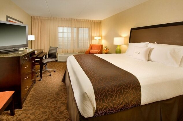 DoubleTree by Hilton Dulles Airport-Sterling - Photo5