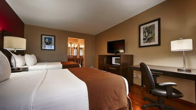 Quality Inn & Suites Phoenix NW - Sun City - Photo3