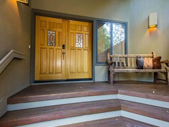 Tan Oak 15 - Photo2