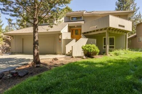 Yellow Pine 37 - Photo2