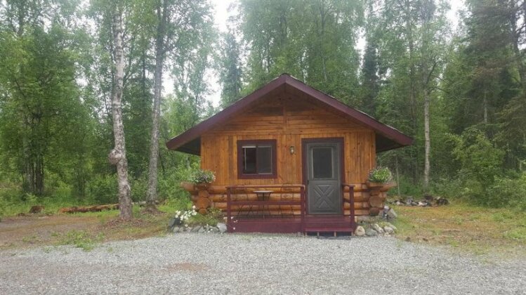 Talkeetna Fireweed Cabins - Photo2