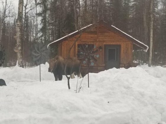 Talkeetna Fireweed Cabins - Photo3
