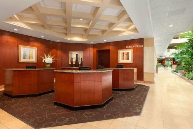 Embassy Suites Tampa - USF / Busch Gardens - Photo4
