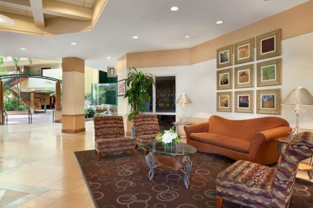 Embassy Suites Tampa - USF / Busch Gardens - Photo5