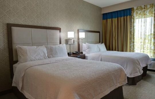 Hampton Inn & Suites by Hilton Tampa Busch Gardens Area - Photo5