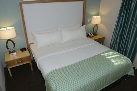 Holiday Inn Hotel & Suites Tampa North - Photo3