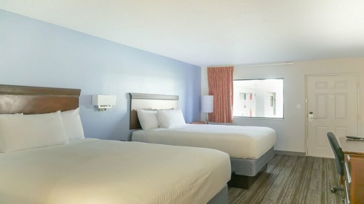 Hotel South Tampa & Suites - Photo5