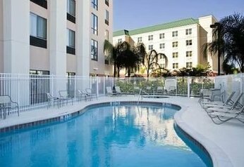 SpringHill Suites by Marriott - Tampa Brandon - Photo2