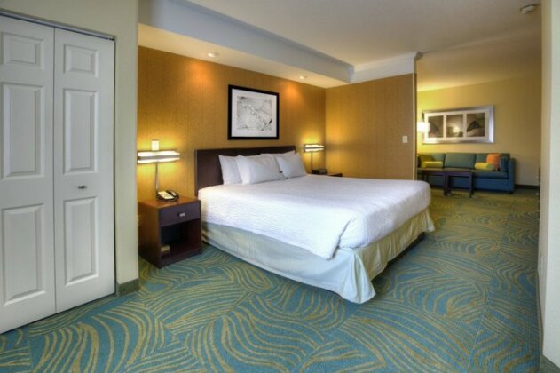 SpringHill Suites by Marriott - Tampa Brandon - Photo4