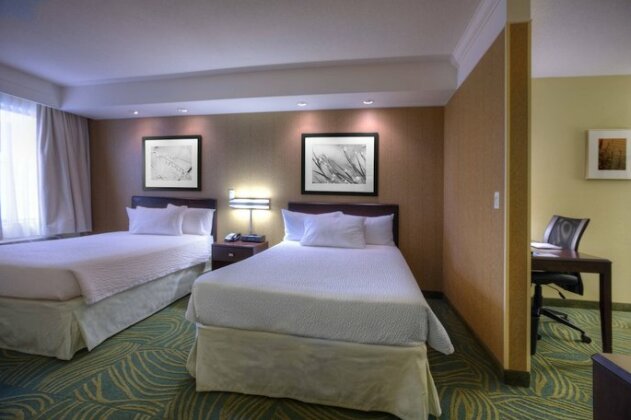 SpringHill Suites by Marriott - Tampa Brandon - Photo5