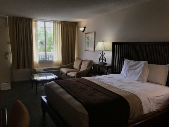 Vista Inn & Suites Tampa - Photo5