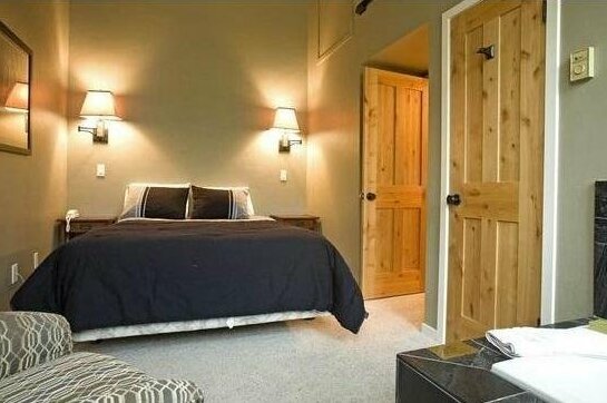 Columbia Place 8 1 BedrmCondo By Accommodations in Telluride - Photo2