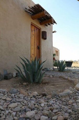 Desert Pearl - Photo4