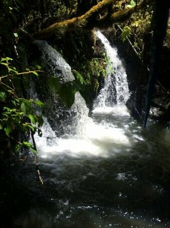 Hawaiian Hideaway at Akaka Falls