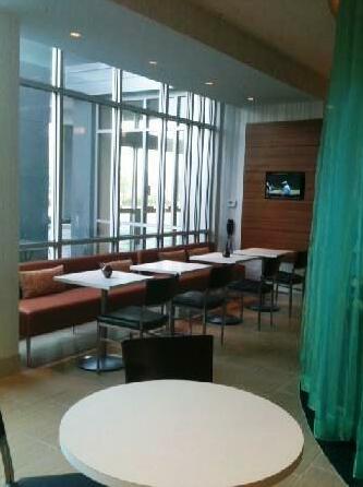 SpringHill Suites by Marriott Houston The Woodlands - Photo4
