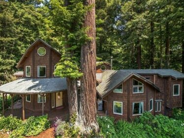 Forest Creek Lodge
