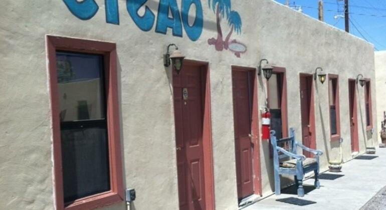The Oasis Motel - Photo3
