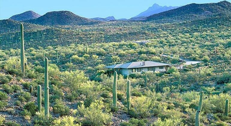 Tucson Vacation House in a Wildlife Sanctuary - Photo5