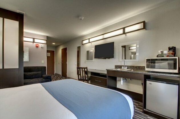 Microtel Inn & Suites by Wyndham Tuscaloosa - Photo4