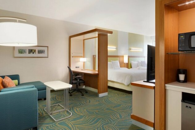SpringHill Suites by Marriott Tuscaloosa - Photo5