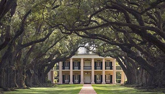 Oak Alley Plantation