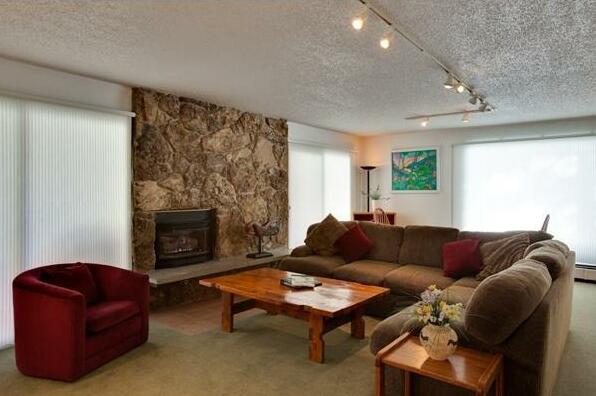 Willows Condos Vail - Photo4