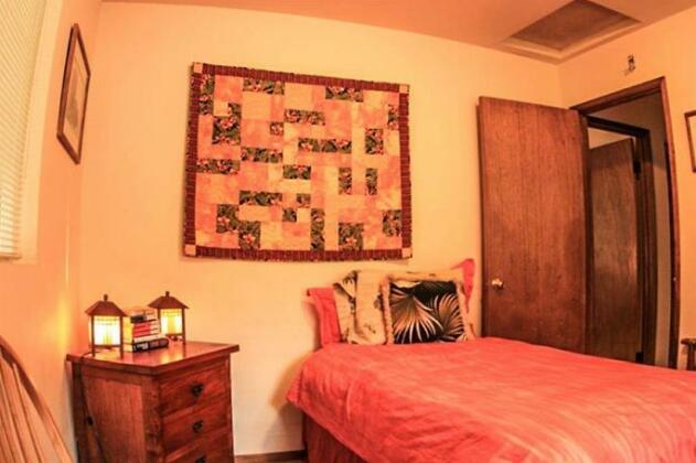 Cymbidium Cottage - Photo3