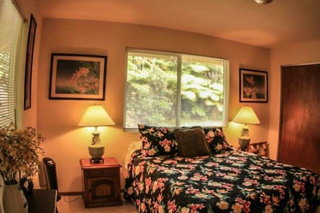 Cymbidium Cottage - Photo4