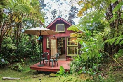 Ferny Hollow Romantic Rainforest Cottage