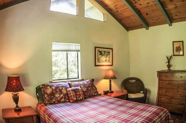Hale Margarita - Photo2
