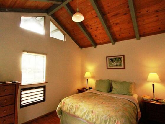 Hale Margarita - Photo5