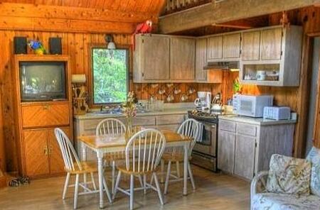 Oma's Hapu'u Hideaway - Photo3