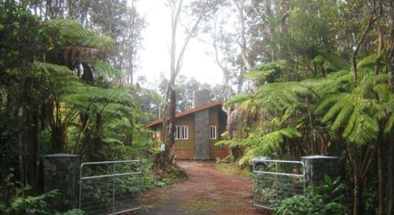 Volcano Singing Forest Cottage - Photo2