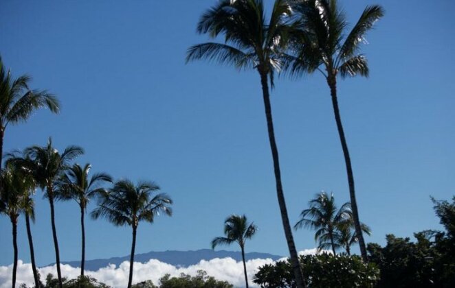 Hale 'Olu'Olu - Photo4