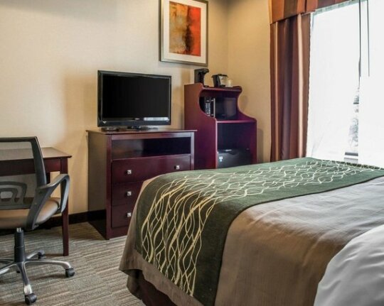 Comfort Inn & Suites Washington - Photo5
