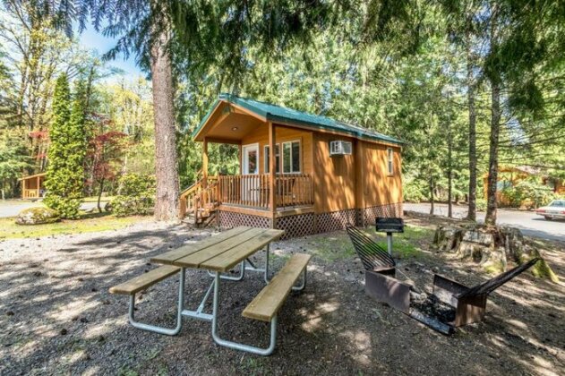 Mount Hood Village Deluxe Cabin 9 - Photo4