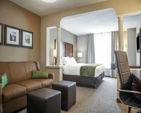 Comfort Suites West Warwick - Providence - Photo2