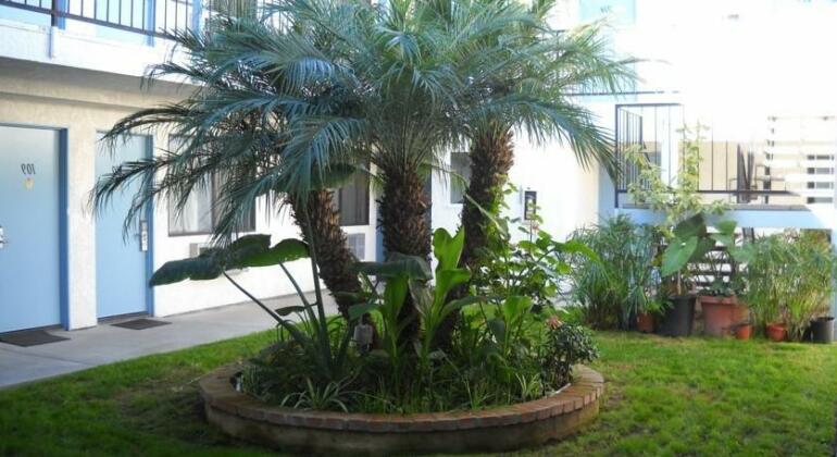 Palms Courtyard Inn - Photo3