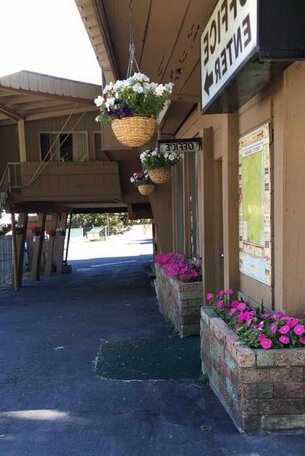 Bigfoot Motel - Photo3