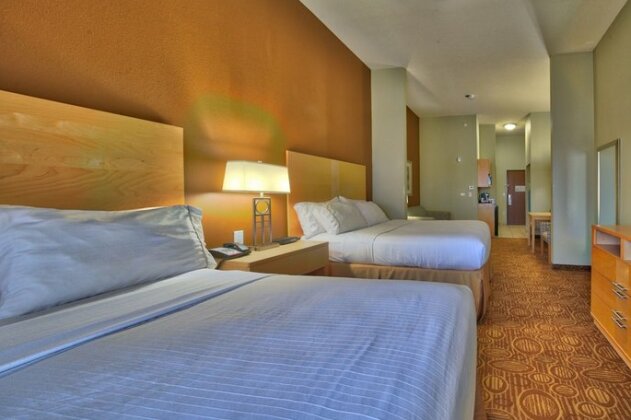 Holiday Inn Express & Suites Lubbock Southwest - Wolfforth - Photo5