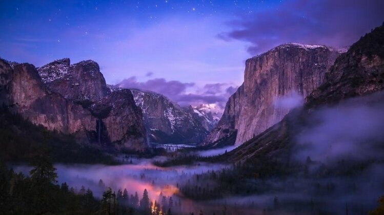 Yosemite Sierra Blossom